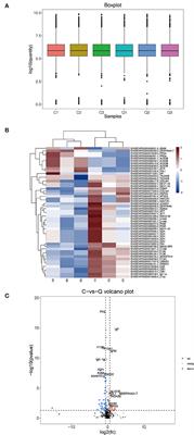 Differential proteomic of plasma provides a new perspective on scientific diagnosis and drug screening for dampness heat diarrhea in calves